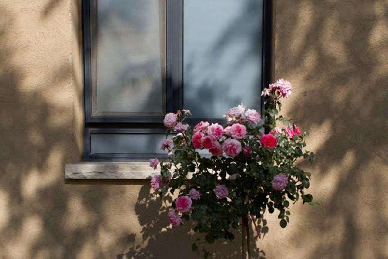 Zimmer You Dreamed Of Arad Buitenkant foto